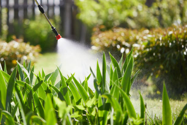 Tamper-Resistant Bait Stations for Rodents in Dixmoor
