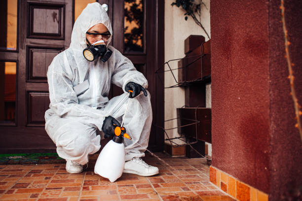 Attic and Crawl Space Rodent Treatment in Dixmoor